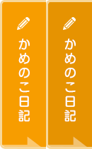 かめのこ日記